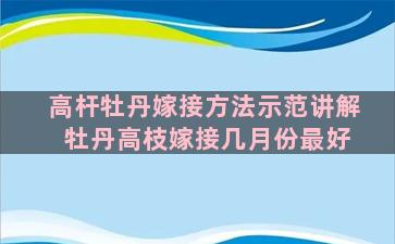 高杆牡丹嫁接方法示范讲解 牡丹高枝嫁接几月份最好